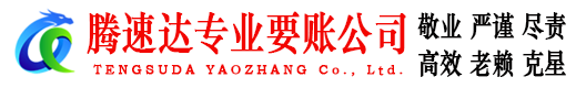 瑞安清债公司